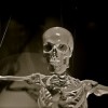医療業界、3Dプリンターで人工骨を成形　来年にも実用化が可能に