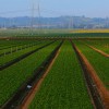 ロート　奈良県連携し農業などの事業を拡大